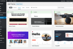 wordpress-theme-1024x625